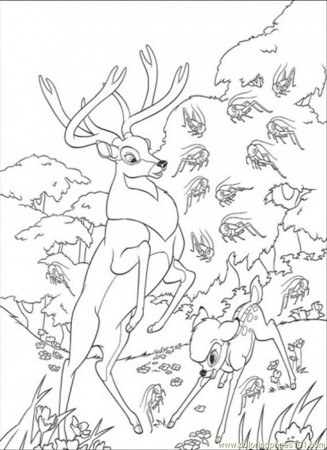 Coloring Pages Roe And Bambi In The Forest (Cartoons > Bambi 
