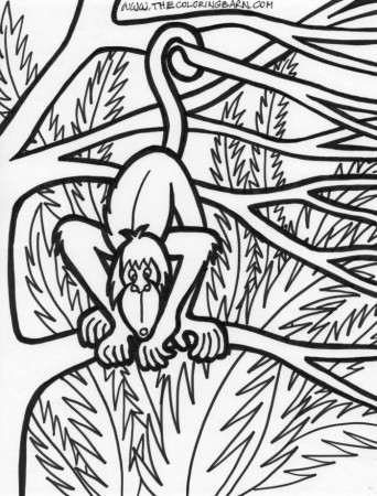 Jungle Coloring Page : Printable Coloring Book Sheet Online for 