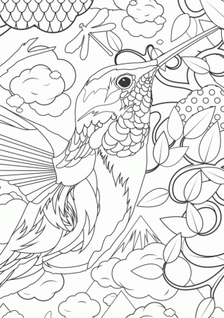 Lolcopyright Birds Penguin Printable Coloring Page Related 166446 