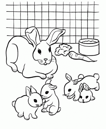 Pets Coloring Pages | Free Printable Rabbits in a cage eating ...