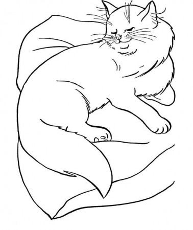 Big Cat Acting Up Sweet Coloring Page | Cat and Dog drawings | Pinter…