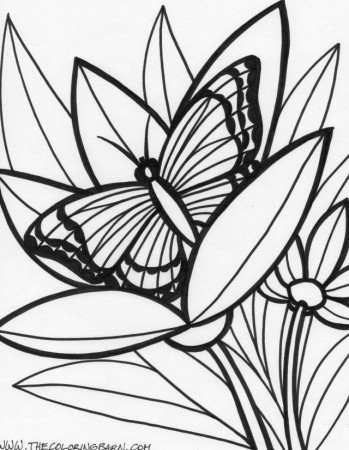 Jungle Coloring Pages Coloring Pages Of Jungle Animals Rainforest 