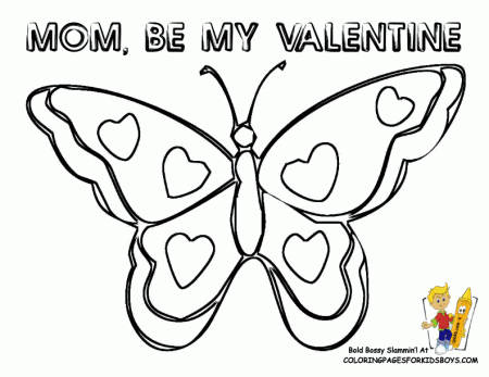 Butterfly Outline Coloring Page : Printable Coloring Sheet ~ Anbu