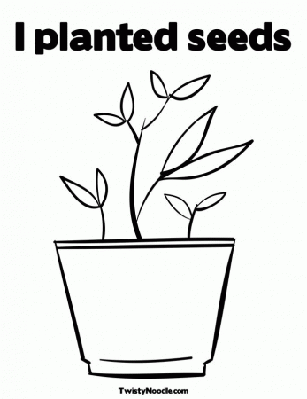 Potted Plants Coloring Page