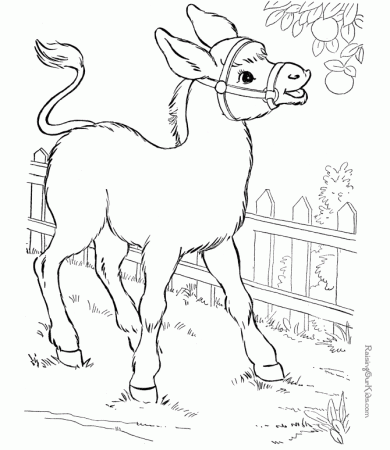 Printable Donkey Coloring Pages - Animals Coloring : oColoring.