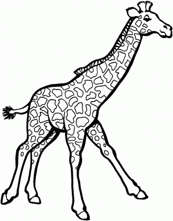 Coloring Pages Beautiful Giraffe Coloring Pages Coloring Page Id 