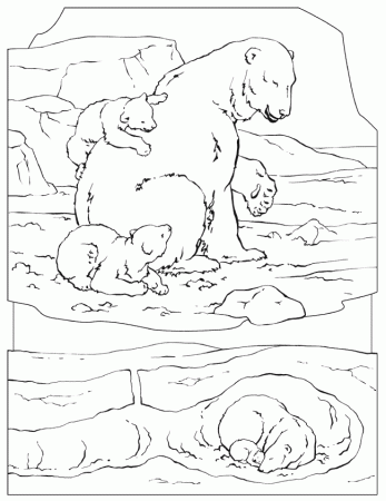 Polar Bear Is Walking On The Ice Coloring Page
