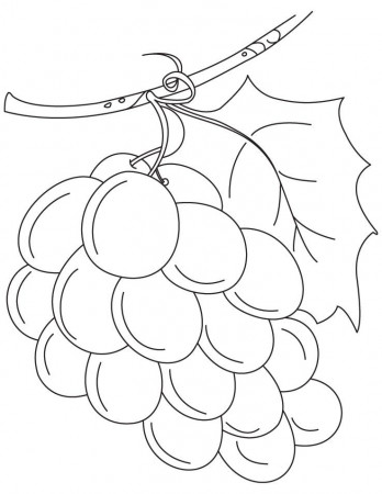 Fresh green grapes coloring pages | Download Free Fresh green 