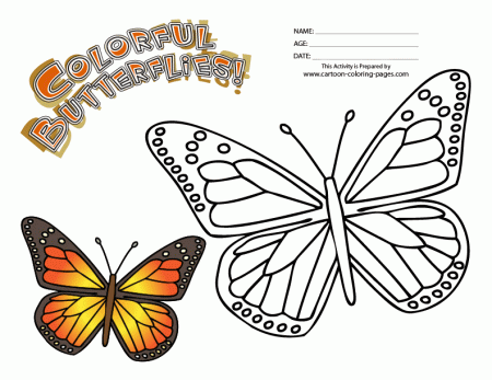 Monarch Butterfly Coloring - Colorine.net | #20528