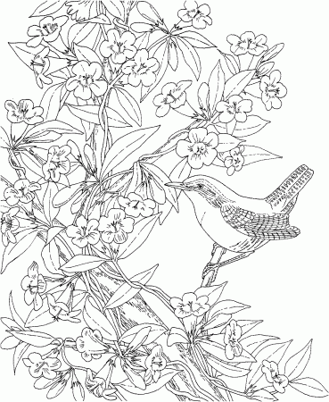 Color Pages Free Download Archives - Page 12 of 49 - Coloring Pages