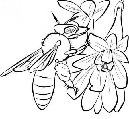 Free Printable Bee Coloring Pages For Kids | Bee coloring pages, Insect coloring  pages, Flower coloring pages