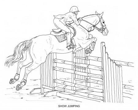 PRINTABLE Set of 8 English Riding Coloring Pages Digital - Etsy