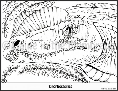 Dinosaur Coloring Pages Printable Coloring Pages Kids - Etsy