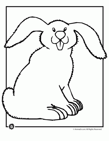 Bunny Coloring Pages | Woo! Jr. Kids Activities