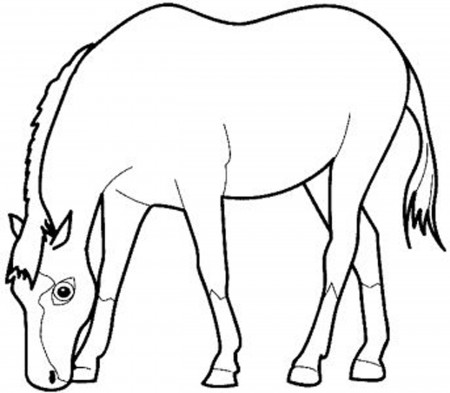 pregnant horse coloring pages - Clip Art Library
