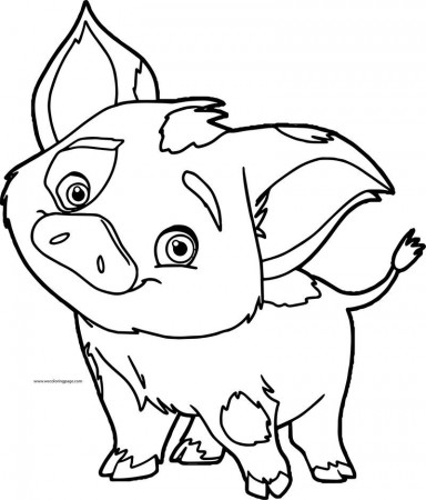 Pua Pig Disney Coloring Page | Moana ...br.pinterest.com