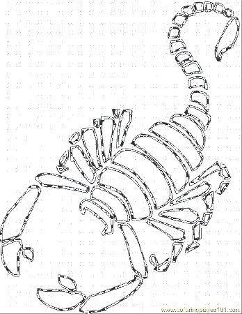Scorpion Colouring Pages For Old | Deliyazar.com