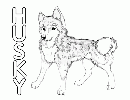 Husky coloring pages | Coloring pages to download and print