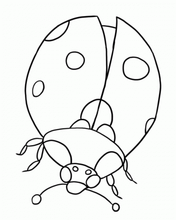 Printable Ladybug Coloring Pages For Kids | Laptopezine.