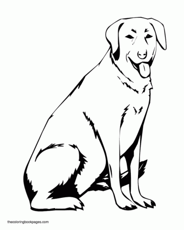 Labrador retriever Colouring Pages (page 2)