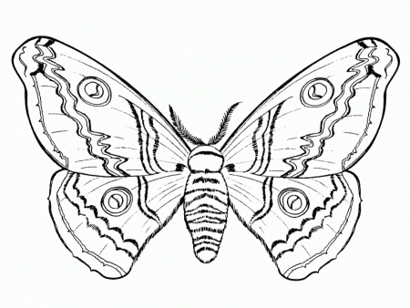Preschool Butterfly Coloring Pages Preschool Coloring Pages Of 