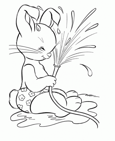 Bunny Coloring Pages | Free coloring pages