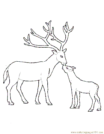 Coloring Pages Baby Deer (Mammals > Deer) - free printable 