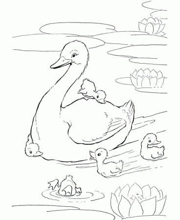 Baby Farm Animal Coloring Pages 90 | Free Printable Coloring Pages