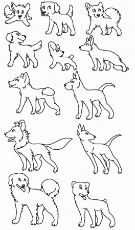 Coloring Pages Of Dog Breeds Printable Coloring Sheet 99Coloring 