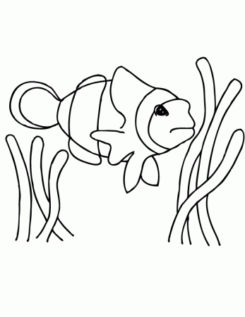 Free Printable Coloring Page and Clipart: Clown Fish