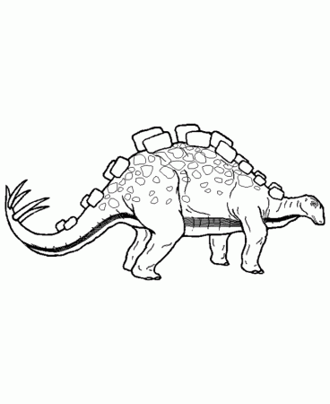 Dinosaur Coloring Page sheets | Stegosaurus coloring page sheet 
