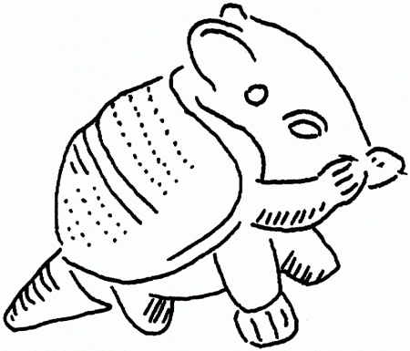 Printable Turtle Sketch Drawing Coloring Kids Colouring Pages 