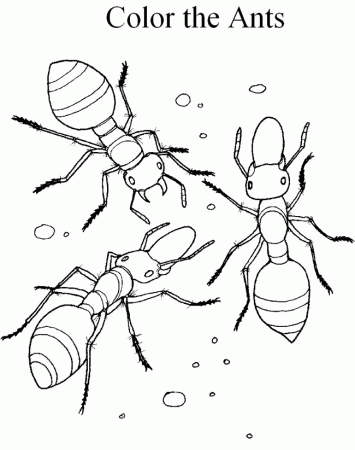 Fire Ant coloring page - Animals Town - Free Fire Ant color sheet