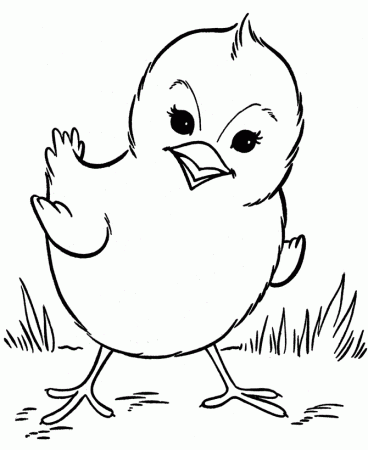 printable chicken coloring pages for preschoolers - Coloring Point