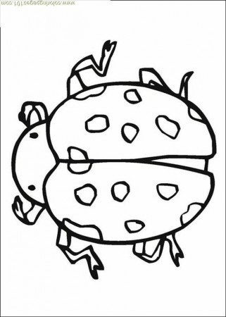 free printable Insect coloring page – Animals > Insects | coloring 