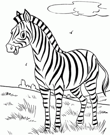 happy little zebra animal coloring page