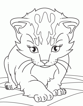 Realistic Kitten Coloring Page Images & Pictures - Becuo