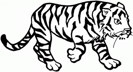Tiger Cub Colouring Pages Page Picture Id 43032 Uncategorized 