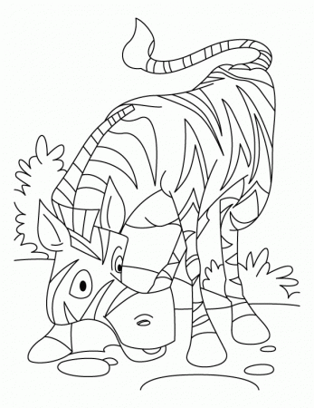 funny zebra coloring pages for kids | Great Coloring Pages