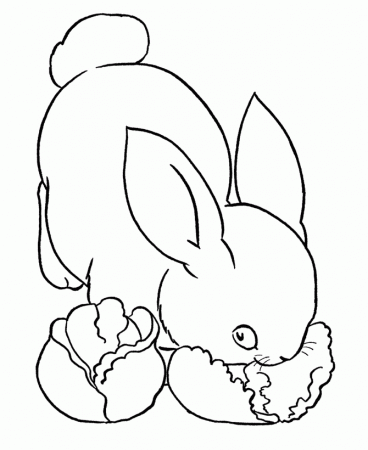 Pets Coloring Pages | Free Printable Pet Rabbit eating lettuce 