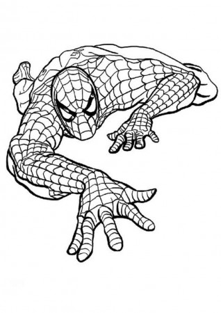 Colorear Spiderman (7) - Dibujo para Colorear