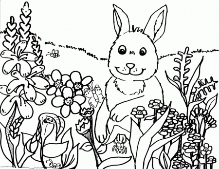 Springtime Coloring Pages For Kids