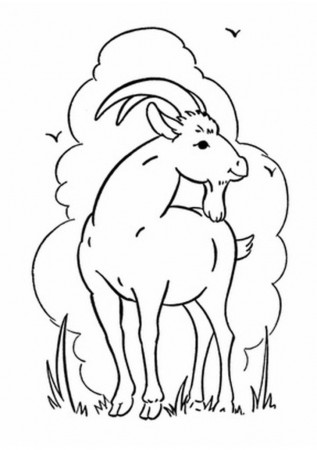 Online Goat And Clouds Coloring Pages For Kids High Definition 
