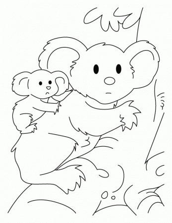 Koala Bear And His Baby Coloring Pages | Coloring Pages