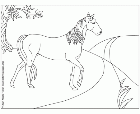 Horse Coloring Pages - Beautiful horse