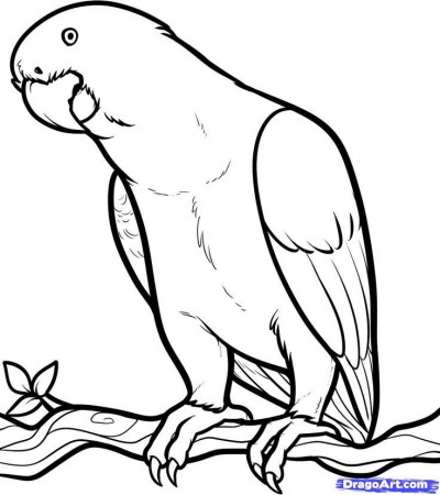 coloring pages animals | 52 Pins