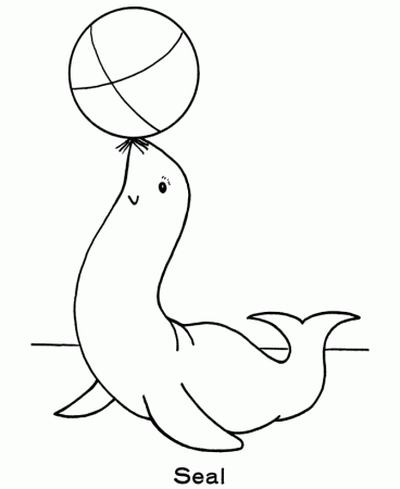 Zoo Animal Coloring Pages | Zoo Seal Exhibit Coloring Page 