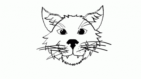 I drew a simple cat face using the touch pad on my laptop | Erin 