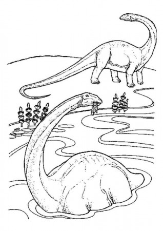 Fiches pédagogiques sur les animaux - Le Diplodocus