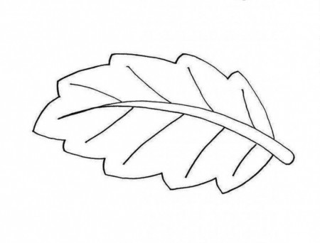 Vector Coloring Page Of A Black And White Tree Leaf Coloring Page 